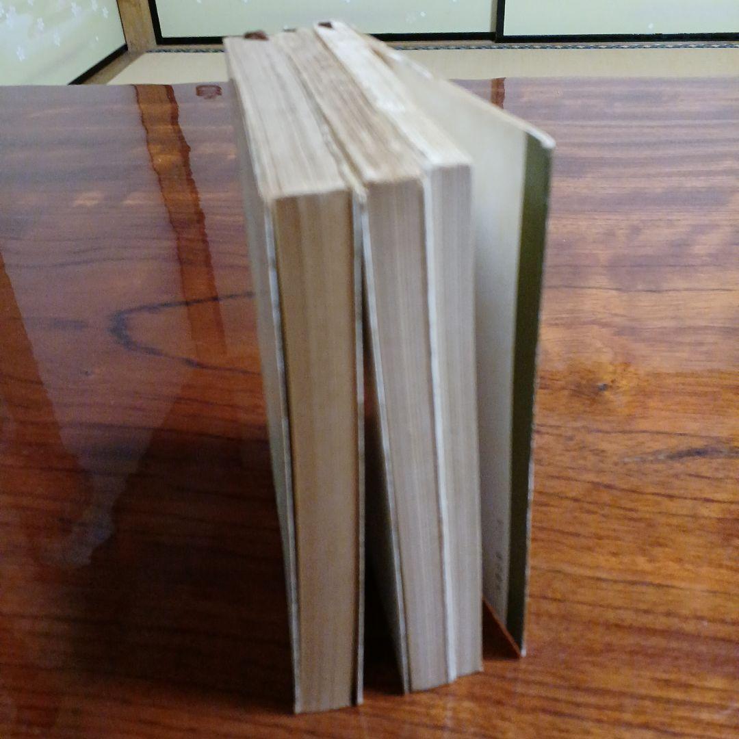 辻邦生新潮文庫3冊セットです。