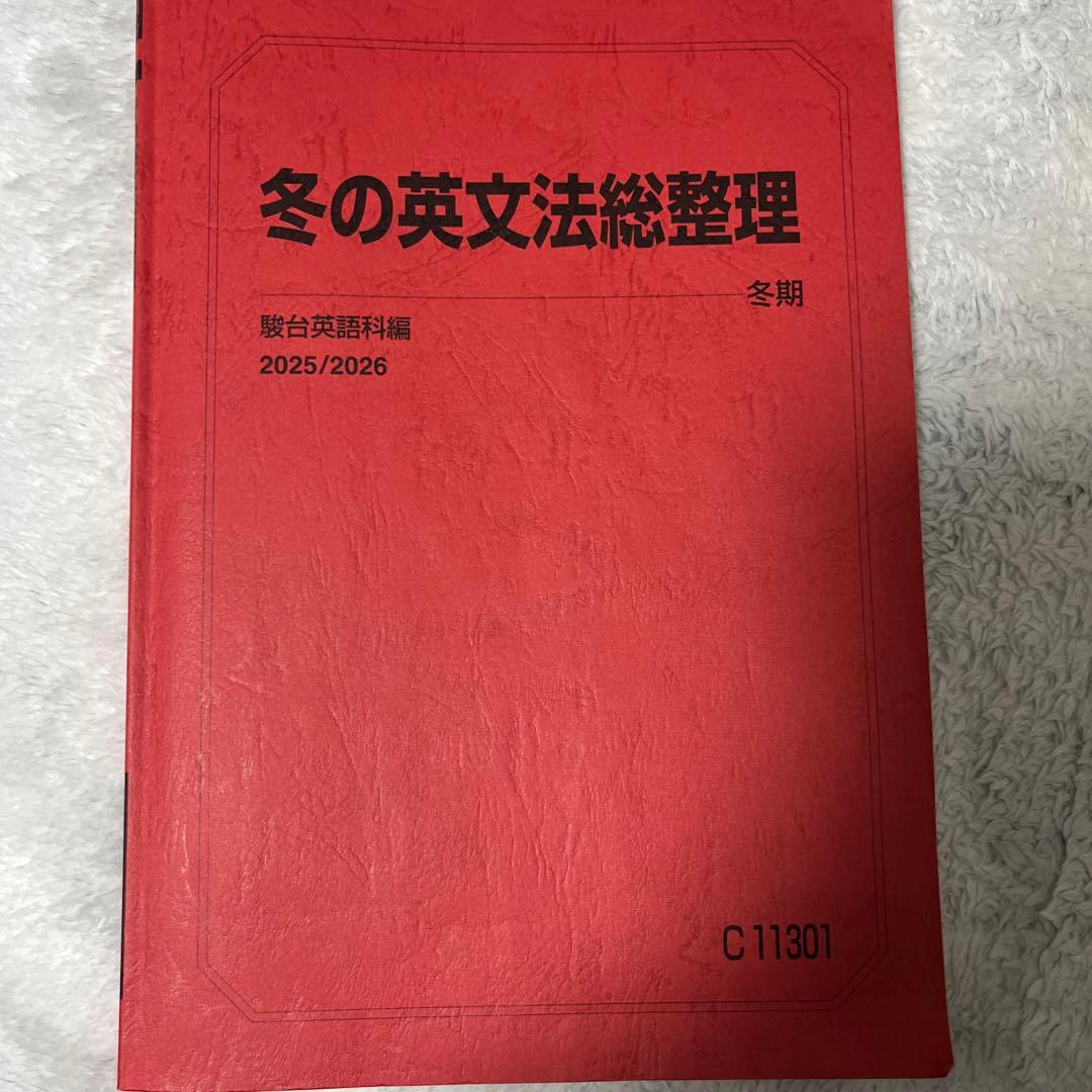 駿台冬期講習 英文法総整理、化学の徹底整理、入試物理総点検2年分 セット