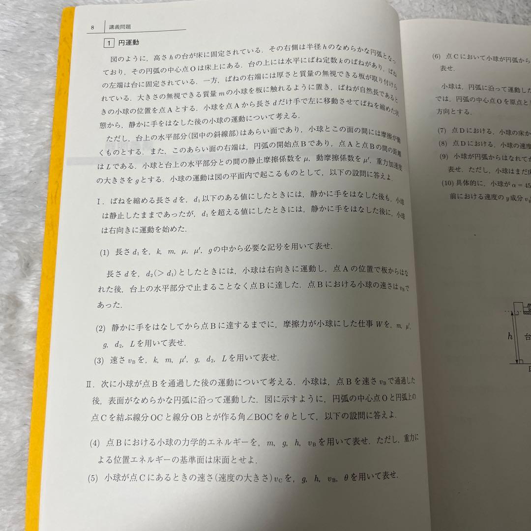 駿台冬期講習 英文法総整理、化学の徹底整理、入試物理総点検2年分 セット