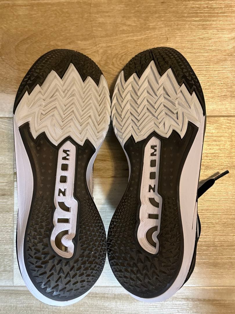 シューズ(男性用) Nike Air Zoom GT Cut 2 29cm