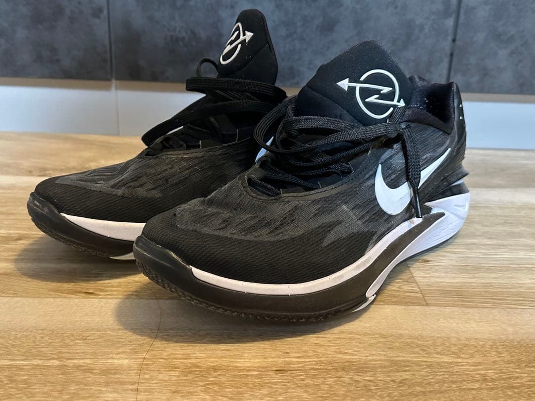 シューズ(男性用) Nike Air Zoom GT Cut 2 29cm
