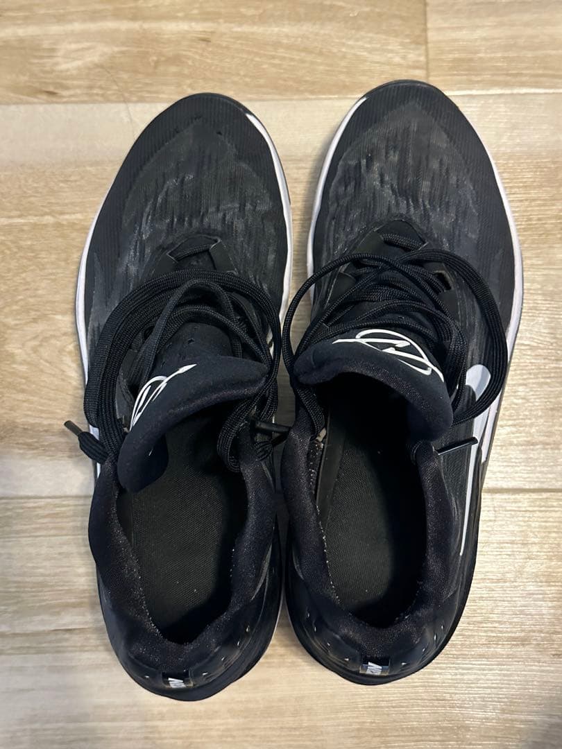 シューズ(男性用) Nike Air Zoom GT Cut 2 29cm