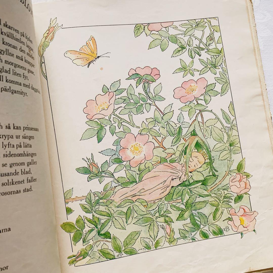 スウェーデンの古い絵本 エルサ・ベスコフの素敵な挿絵꙳⋆花の歌　ビンテージ洋書