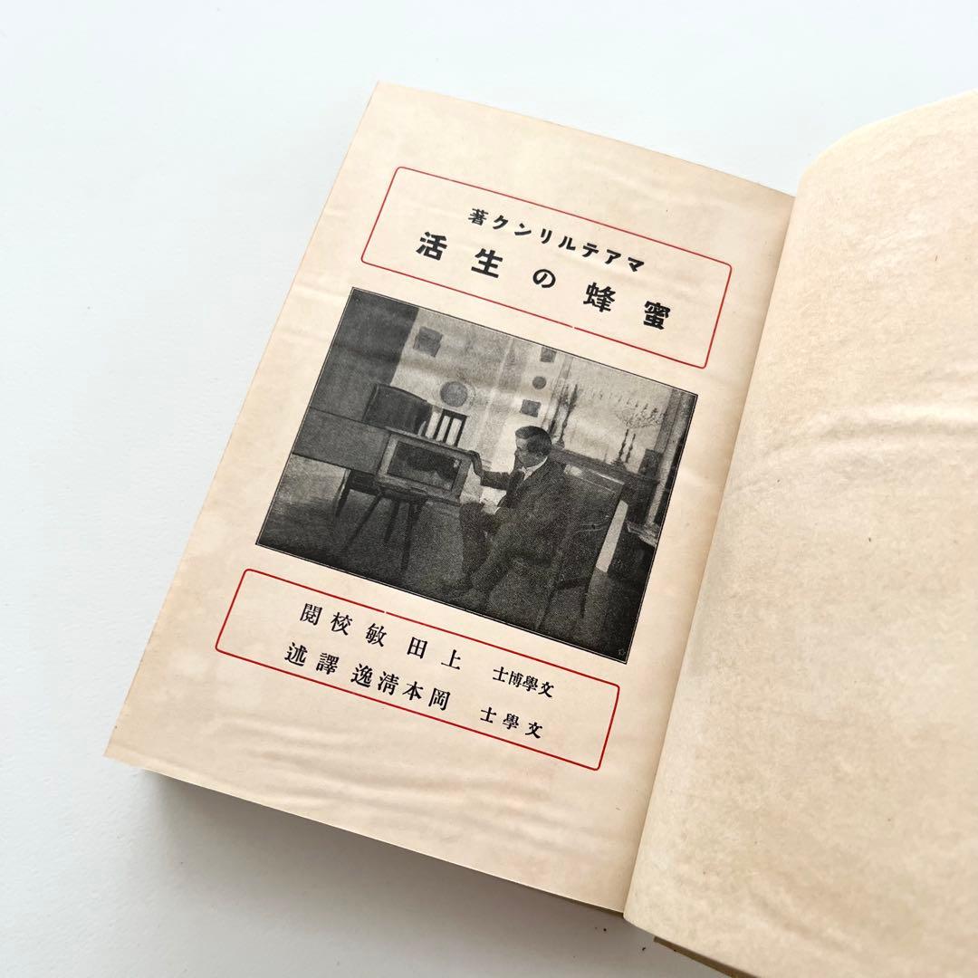 蜜蜂の生活　初版