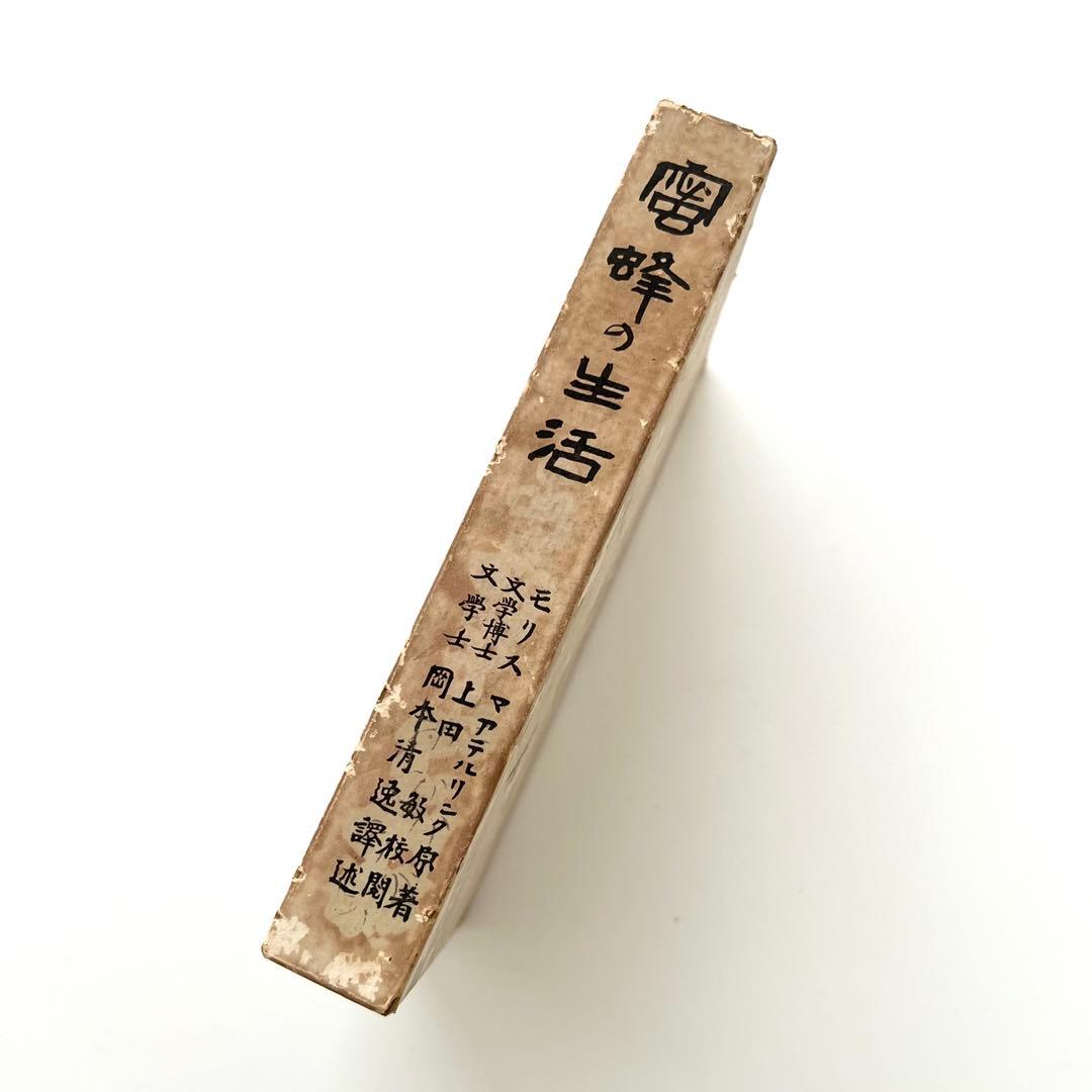 蜜蜂の生活　初版