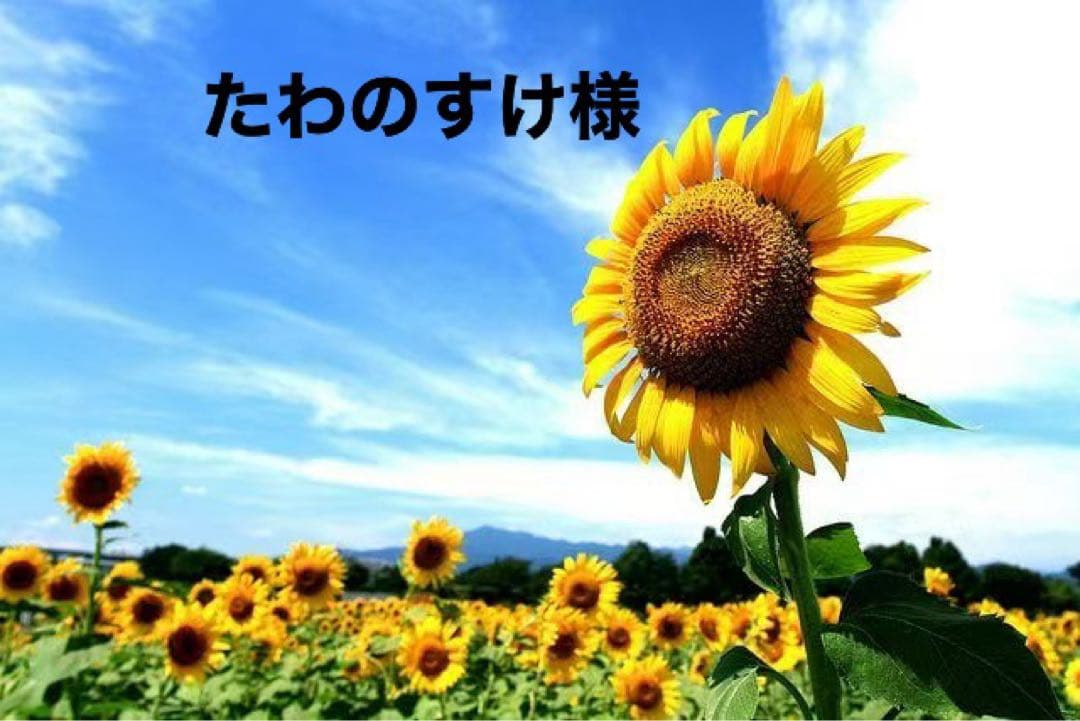たわのすけ様