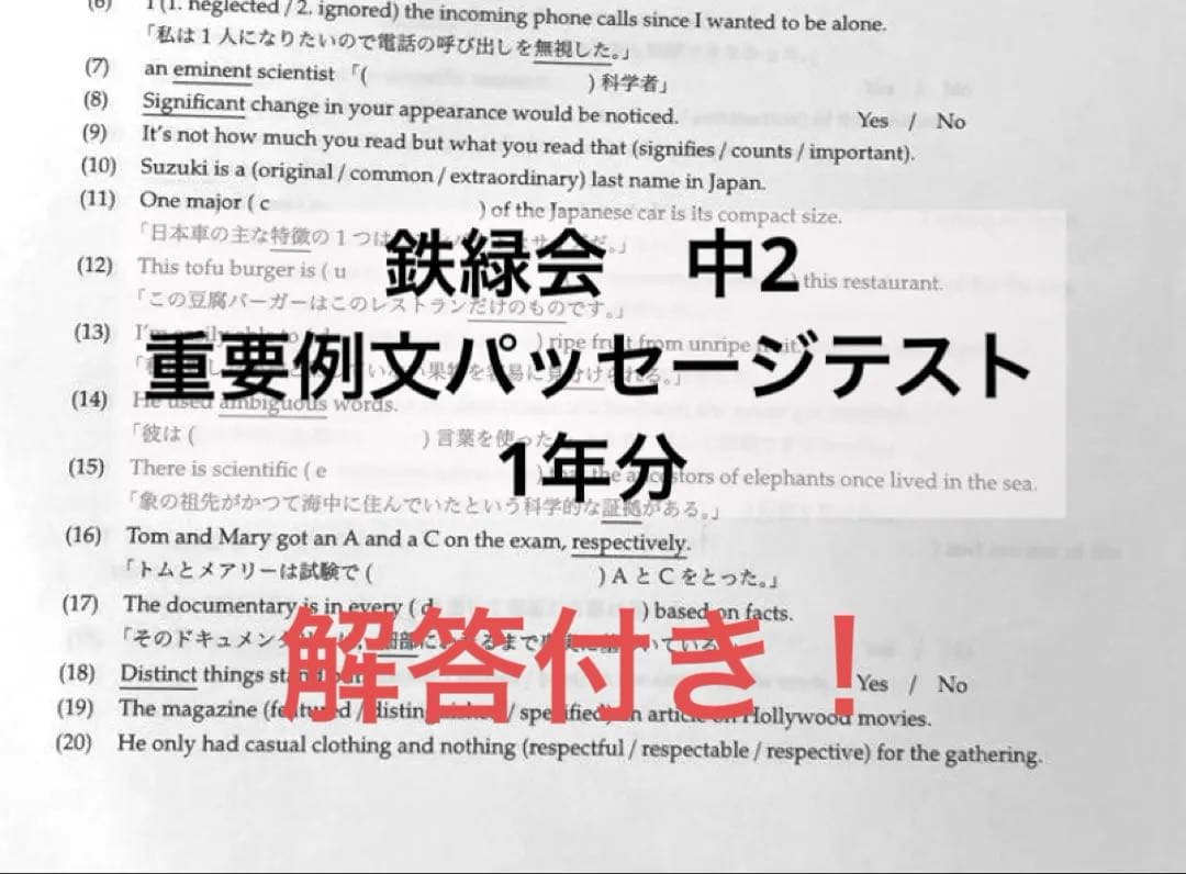 鉄緑会　中2 パッセージテスト
