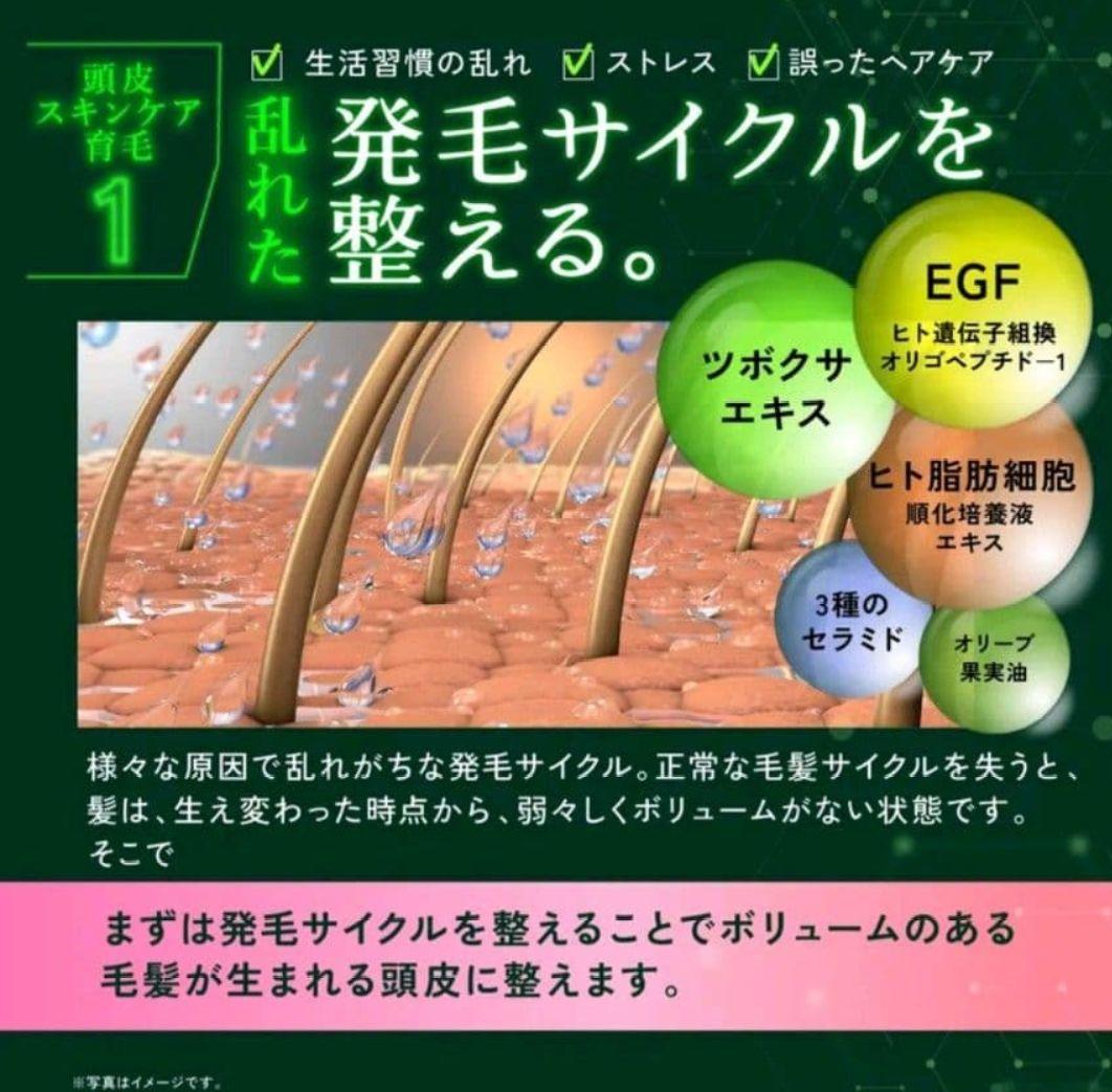 Kyogoku Nature Booster+ シャンプー・トリートメントセット