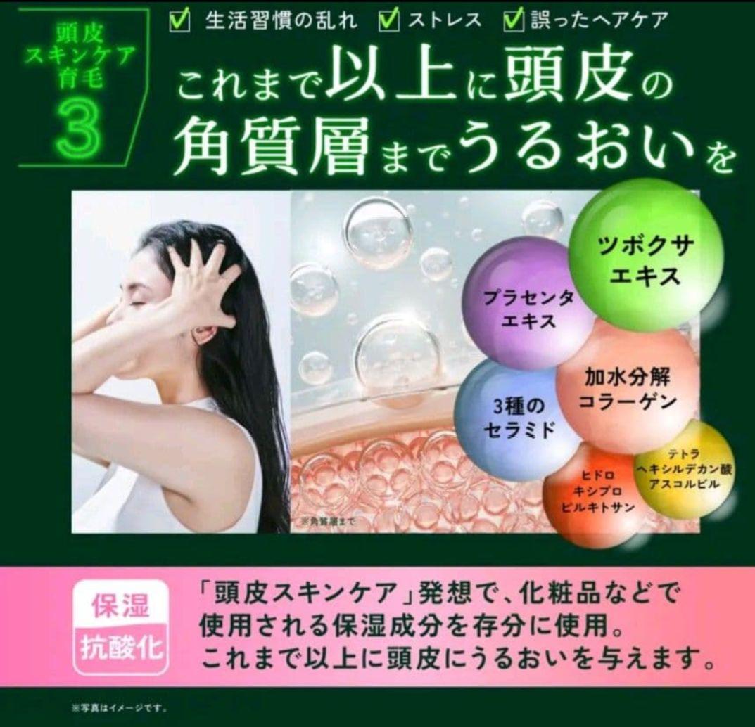 Kyogoku Nature Booster+ シャンプー・トリートメントセット