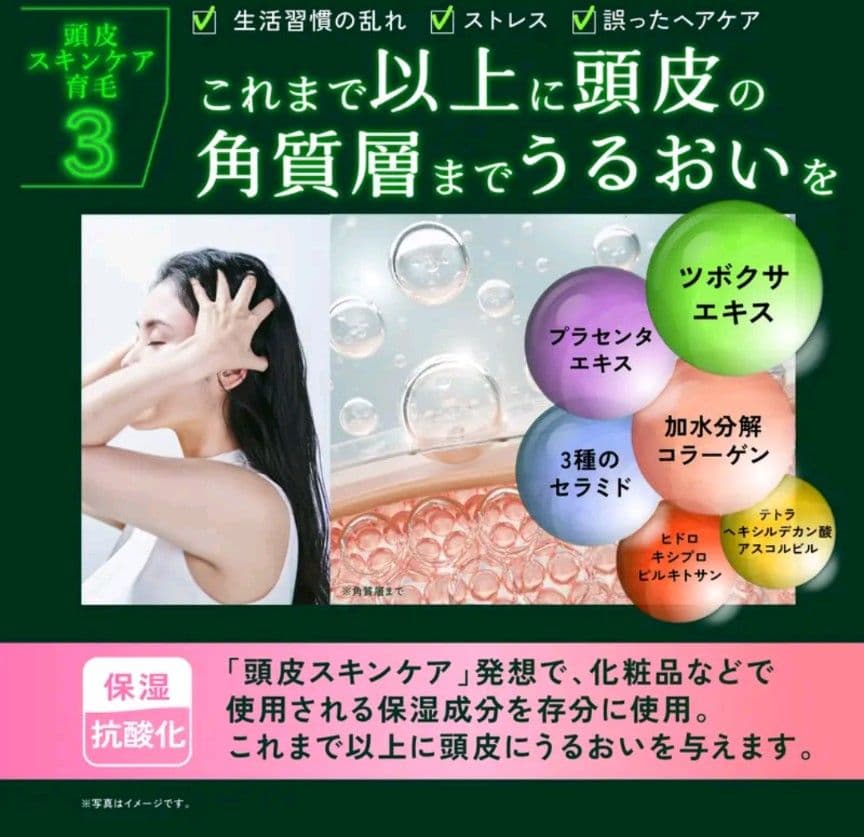 【未開封】KYOGOKU ネイチャーブースター シャン＆トリ、 イオンブラシ