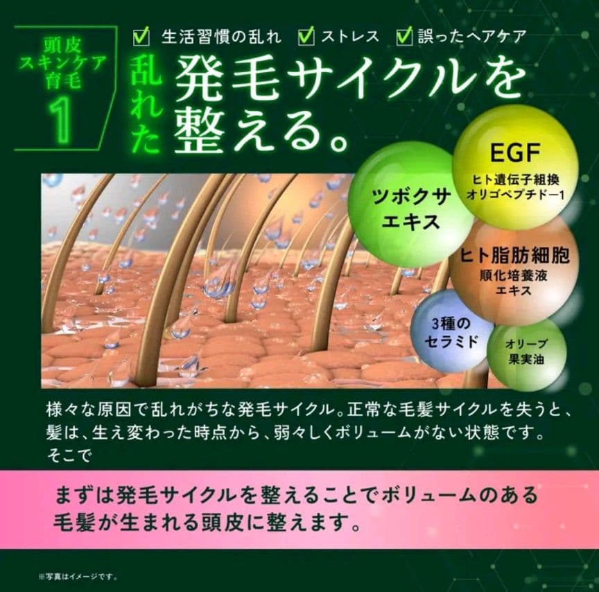 【未開封】KYOGOKU ネイチャーブースター シャン＆トリ、 イオンブラシ