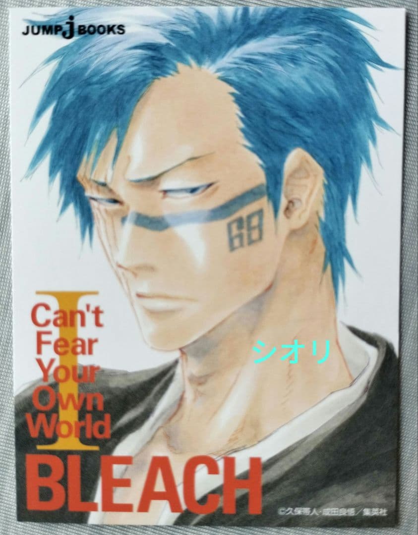 ブリーチ千年血戦篇 55~74巻+BURN THE WITCH ほか小説等
