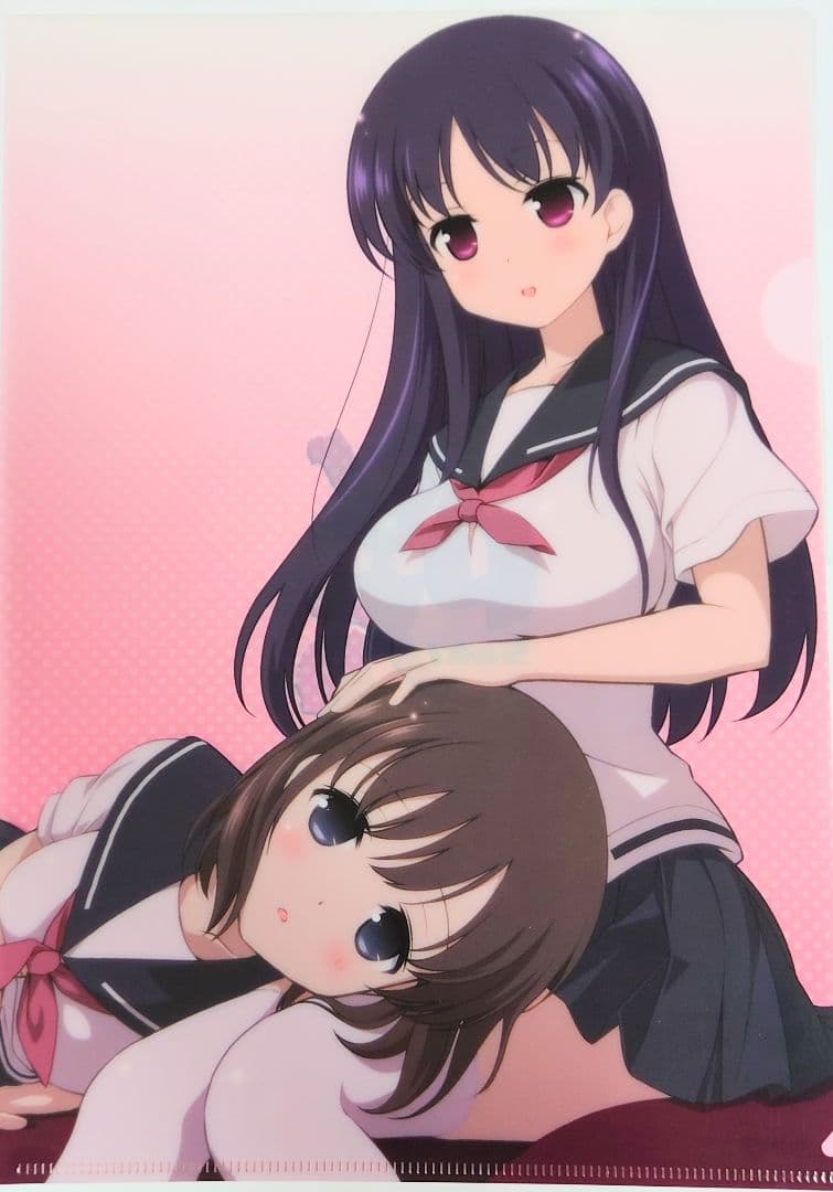 お*ん様 【非売品含む】咲-Saki- シノハユ 咲日和 クリアファイル12種セ