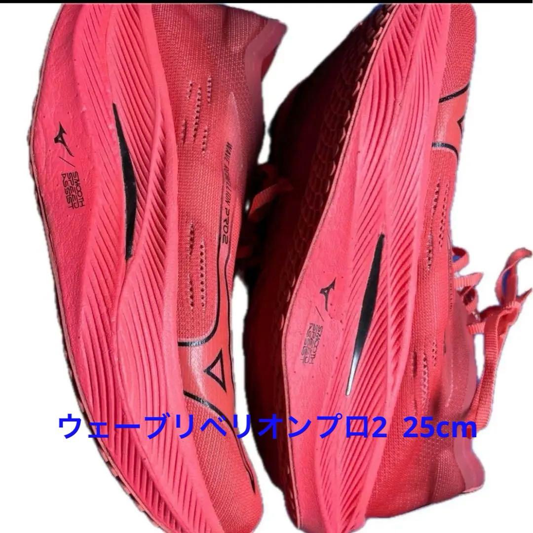 スパイク・シューズ Mizuno Wave Rebellion Pro2 25cm