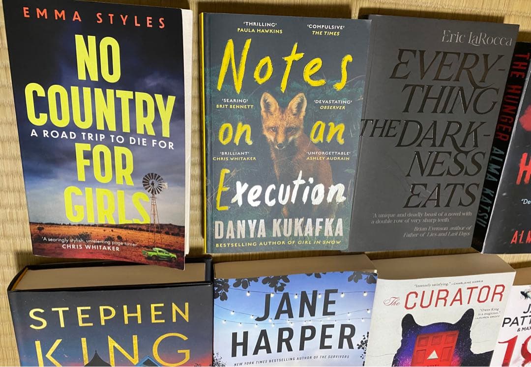English Novels スリラー 洋書 8枚セット