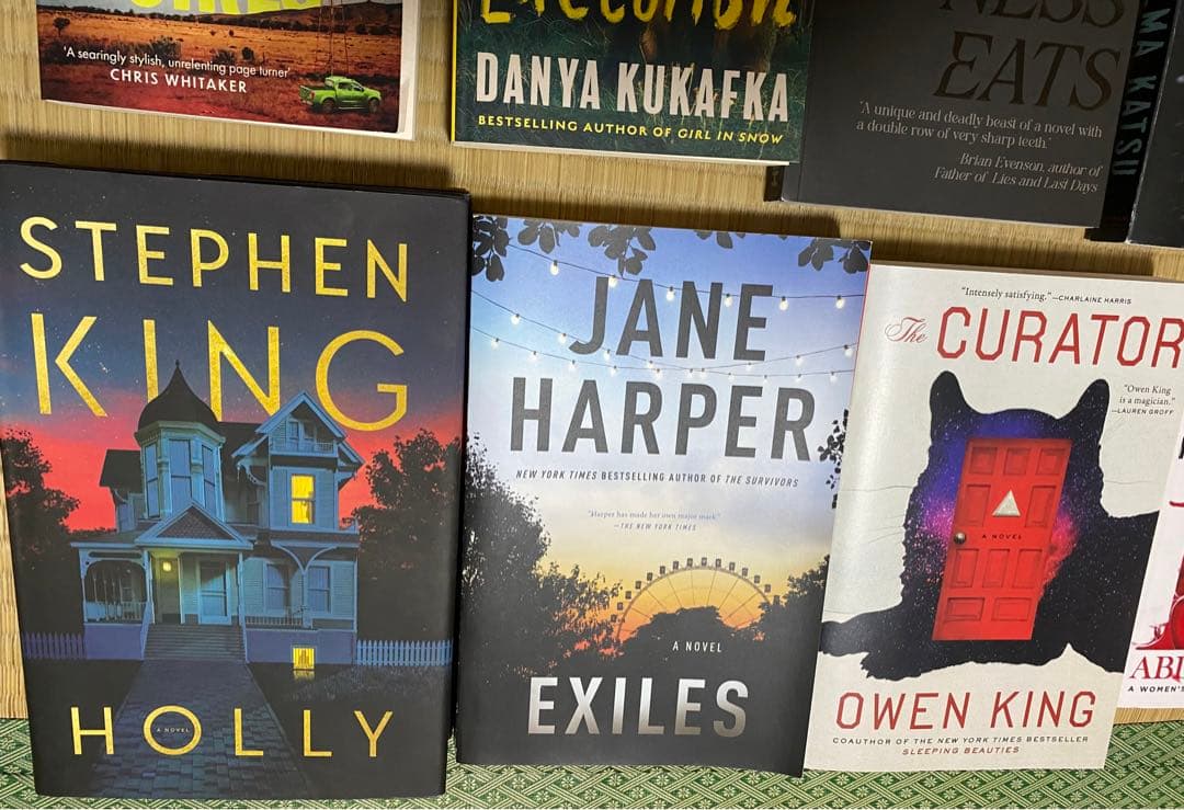 English Novels スリラー 洋書 8枚セット