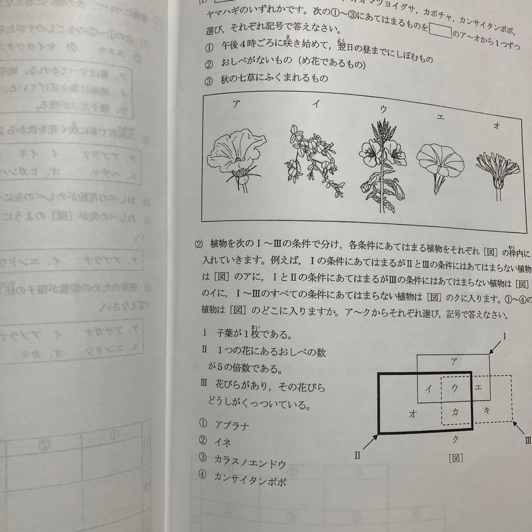 浜学園　M灘コース　小6理科　9〜12月　日曜志望校別特訓問題集　追加教材