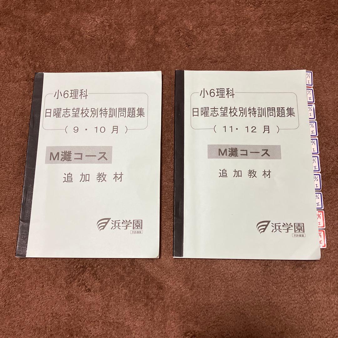 浜学園　M灘コース　小6理科　9〜12月　日曜志望校別特訓問題集　追加教材