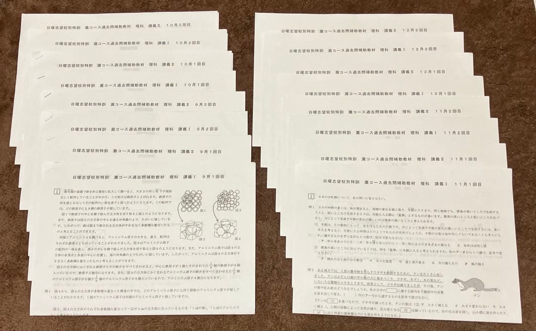 浜学園　M灘コース　小6理科　9〜12月　日曜志望校別特訓問題集　追加教材