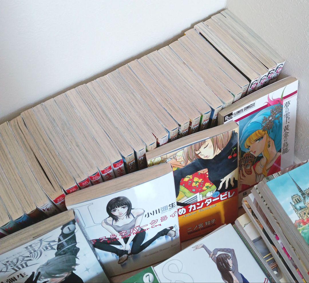漫画　セット　キス＆ネバークライ　銀盤騎士　のだめカンタービレ　君に届け　他