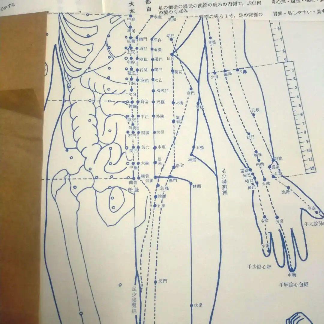 経絡の原典　経脈図説の解説