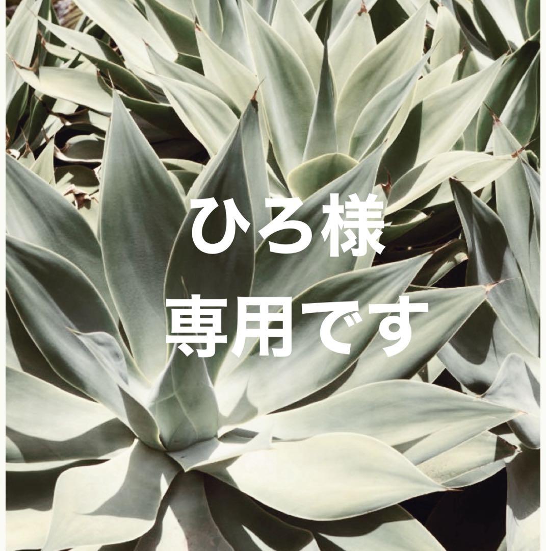 ひろです