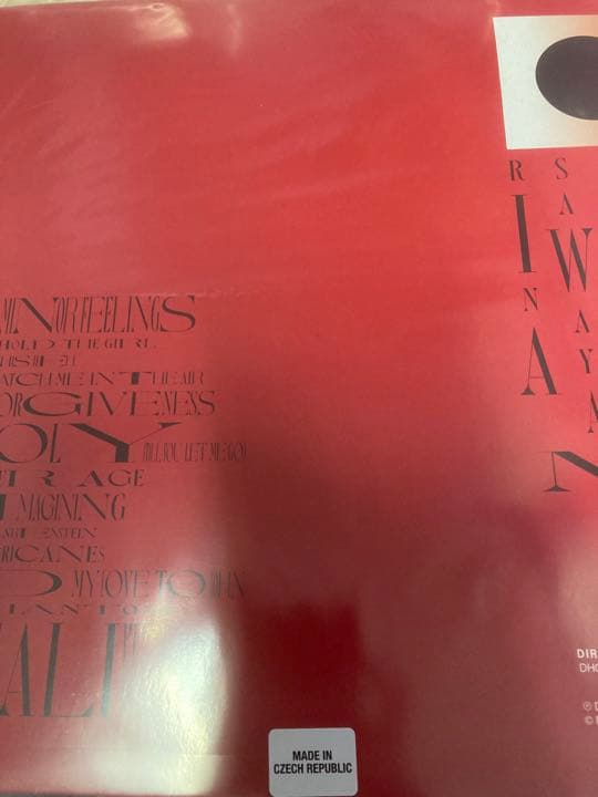 Rina Sawayama Hold The Girl 限定盤 レコード新品