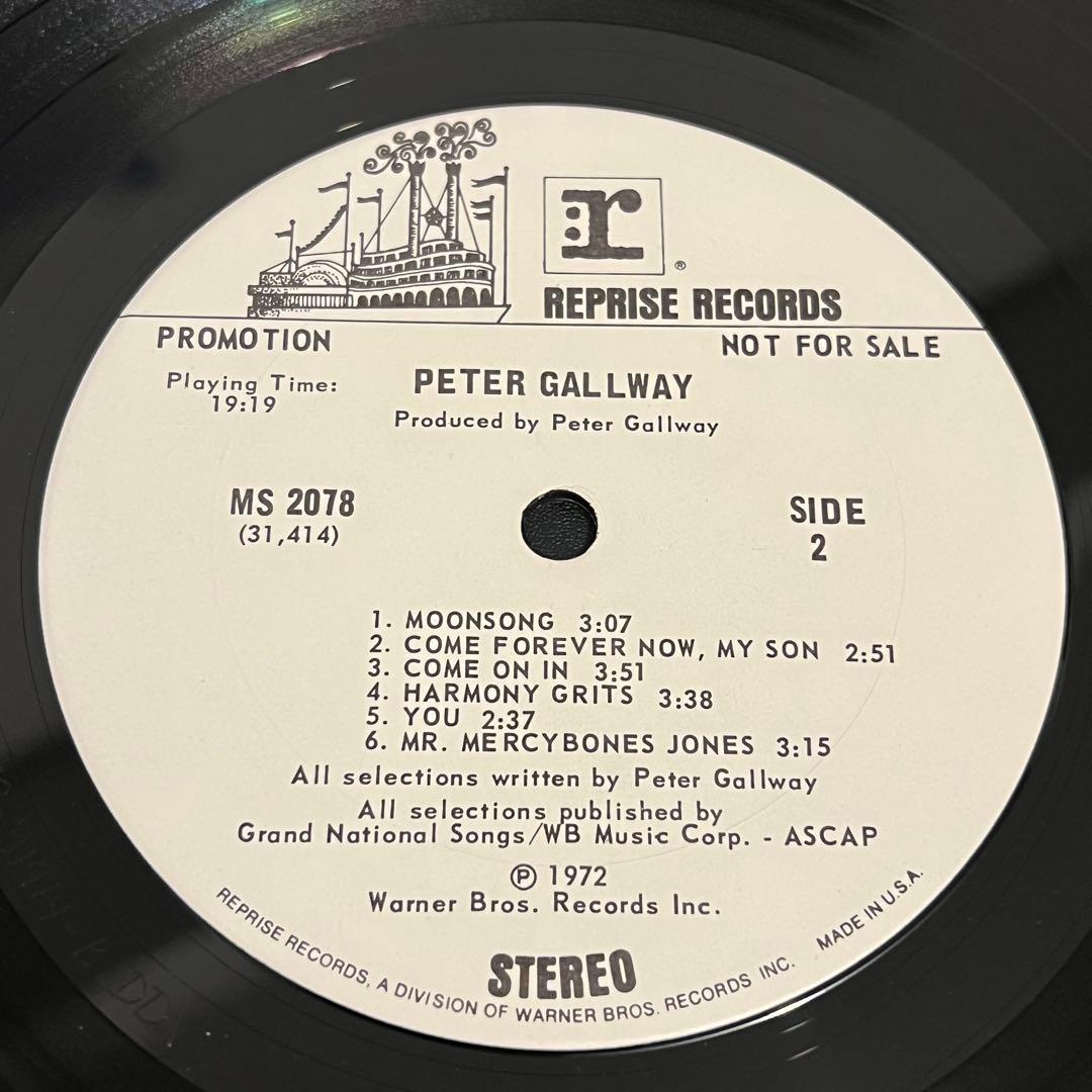 【12インチレコード】PETER GALLWAY【ロック名盤】