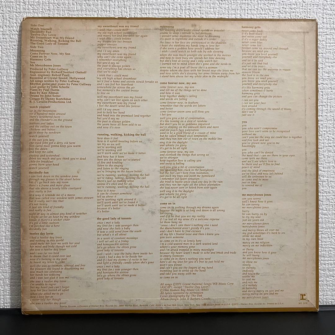 【12インチレコード】PETER GALLWAY【ロック名盤】