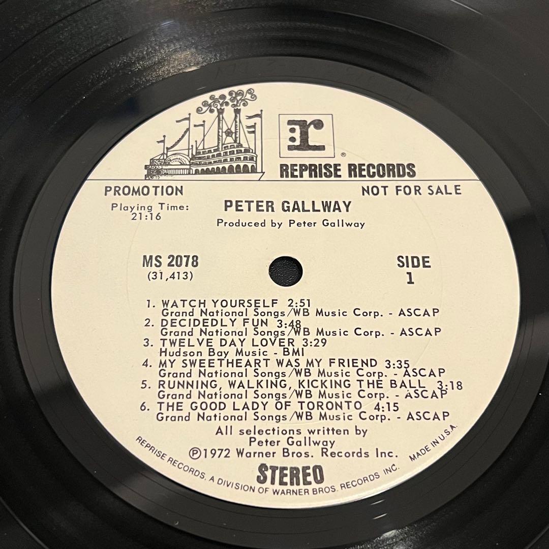 【12インチレコード】PETER GALLWAY【ロック名盤】