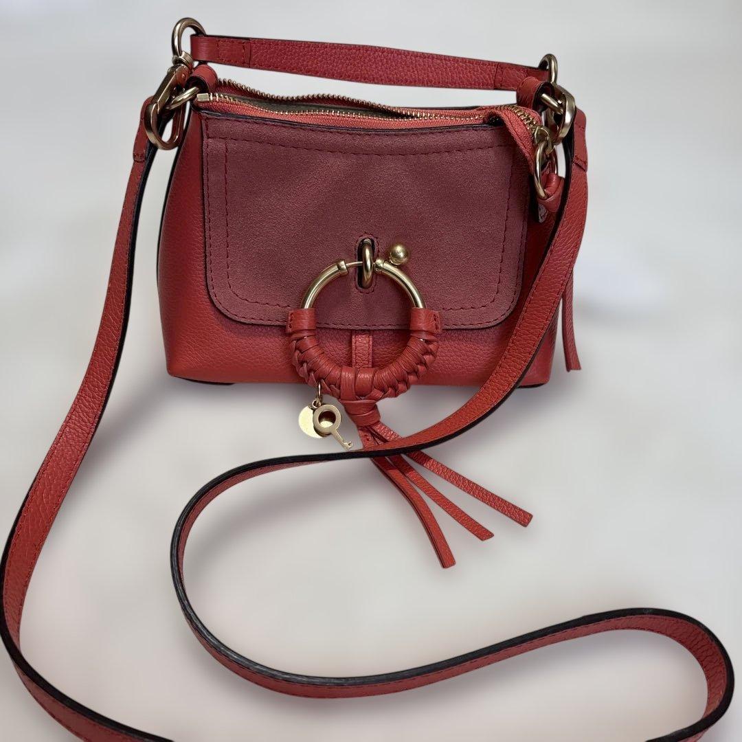SeeByChloe 2wayバック