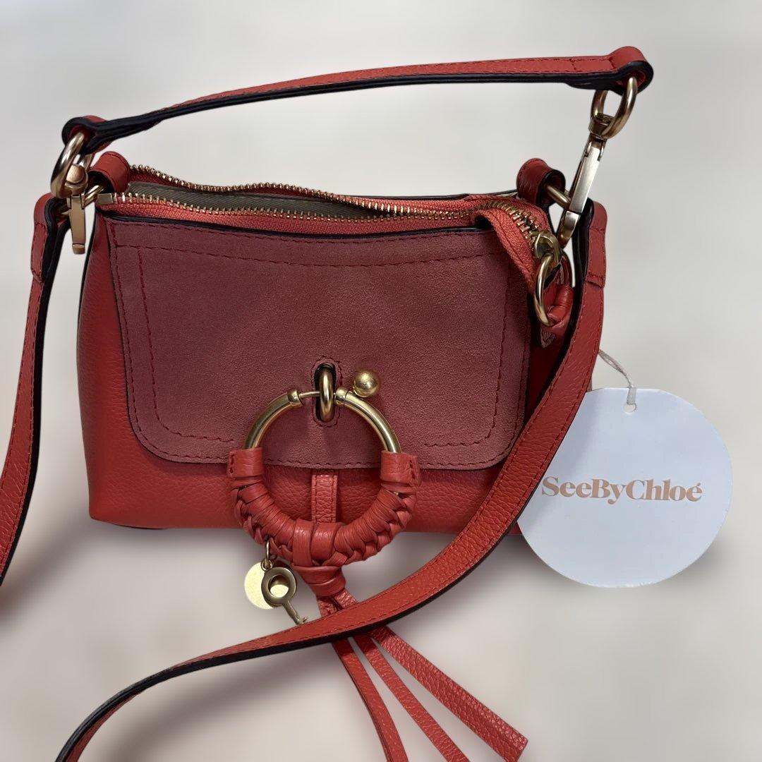 SeeByChloe 2wayバック