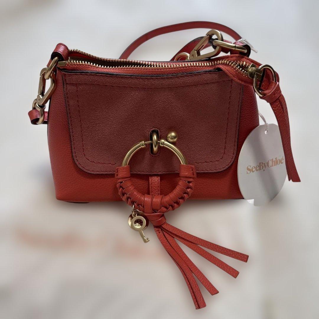 SeeByChloe 2wayバック