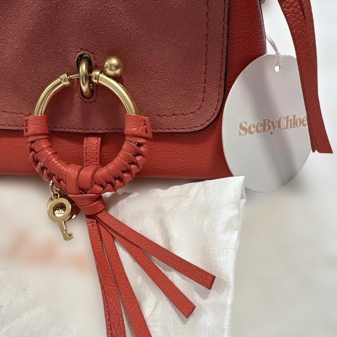 SeeByChloe 2wayバック