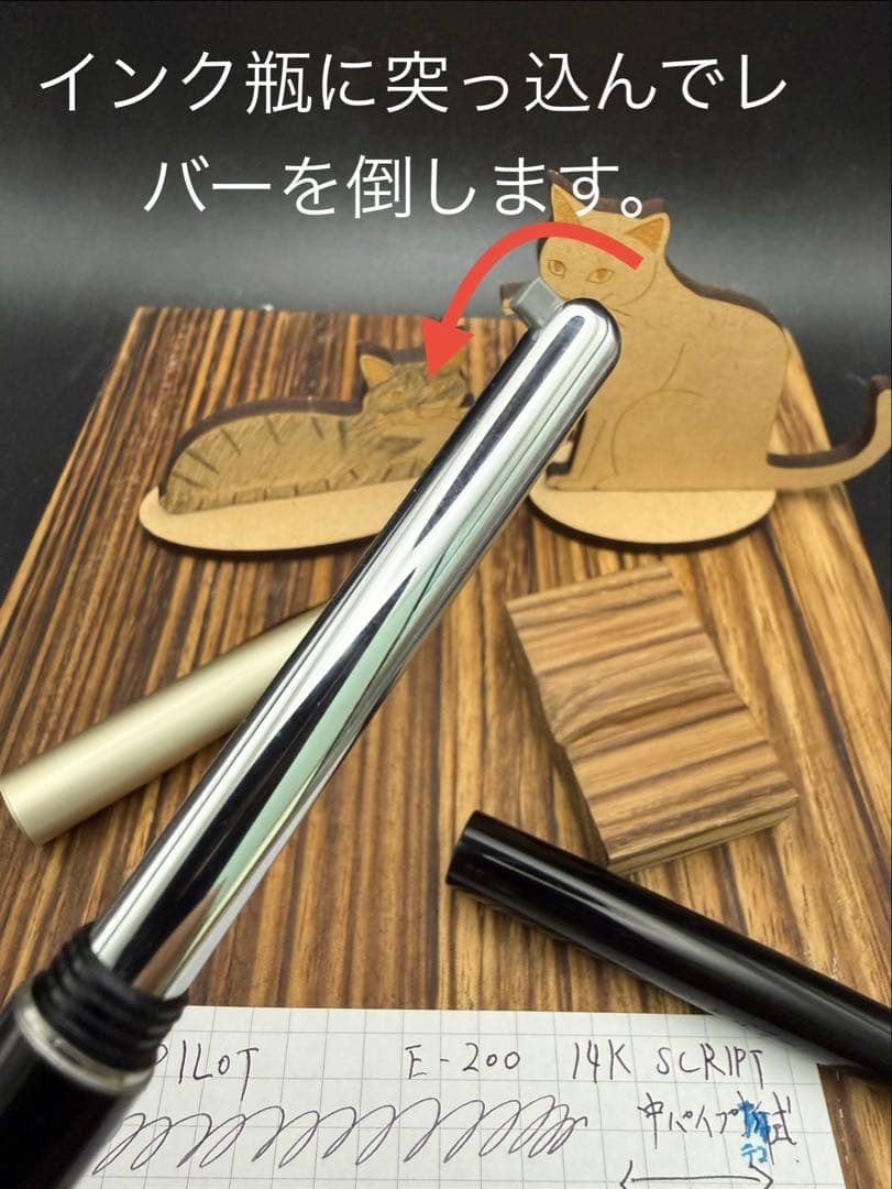 Pilot 万年筆 E200 中パイプテコ式 Script 細字