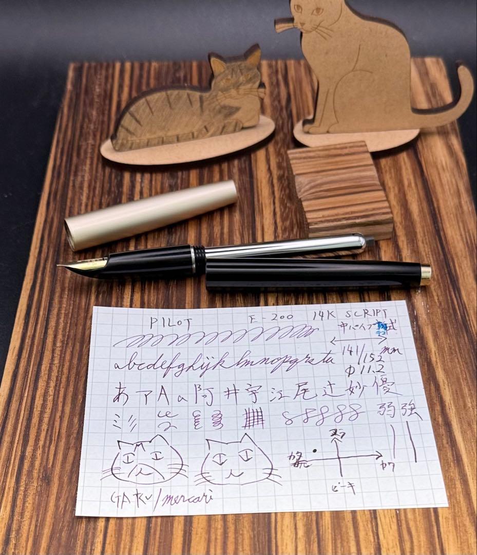 Pilot 万年筆 E200 中パイプテコ式 Script 細字