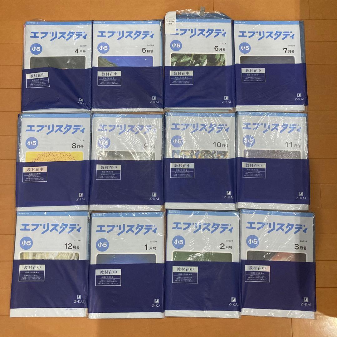 Z会 小5 エブリスタディ 4教科 1年分 国算理社