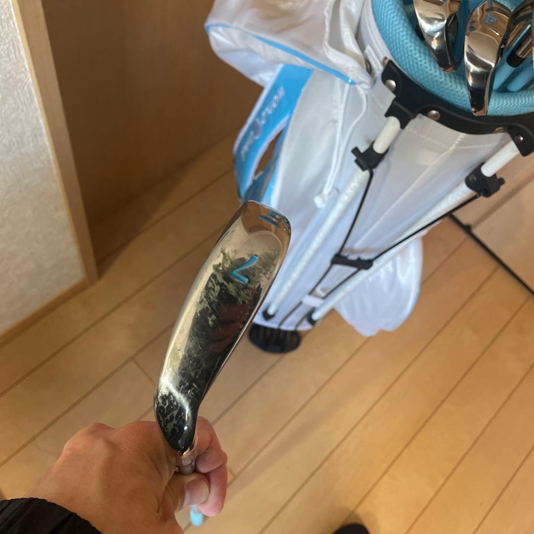 #924 ワールドイーグル　レディースゴルフクラブ 本格フルセット　プロ推進