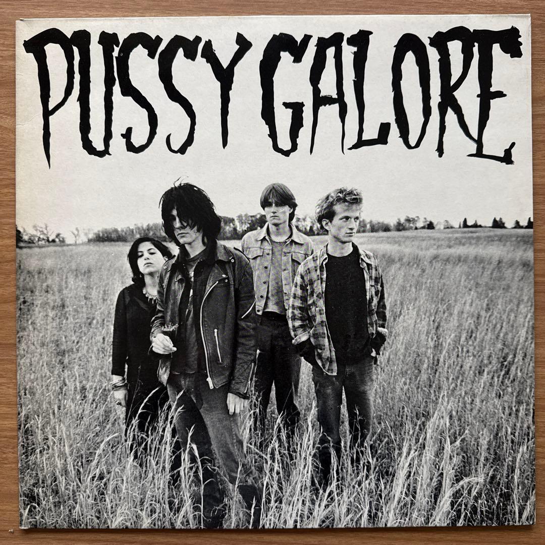 Pussy Galore – Groovy Hate Fuck