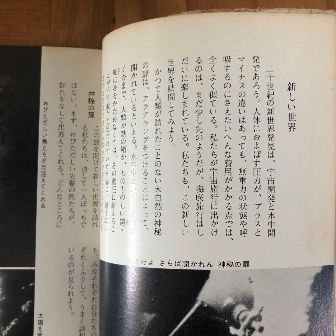 【絶版・希少】青い海　大崎映晋　保育社カラーブックス　1964年　初版