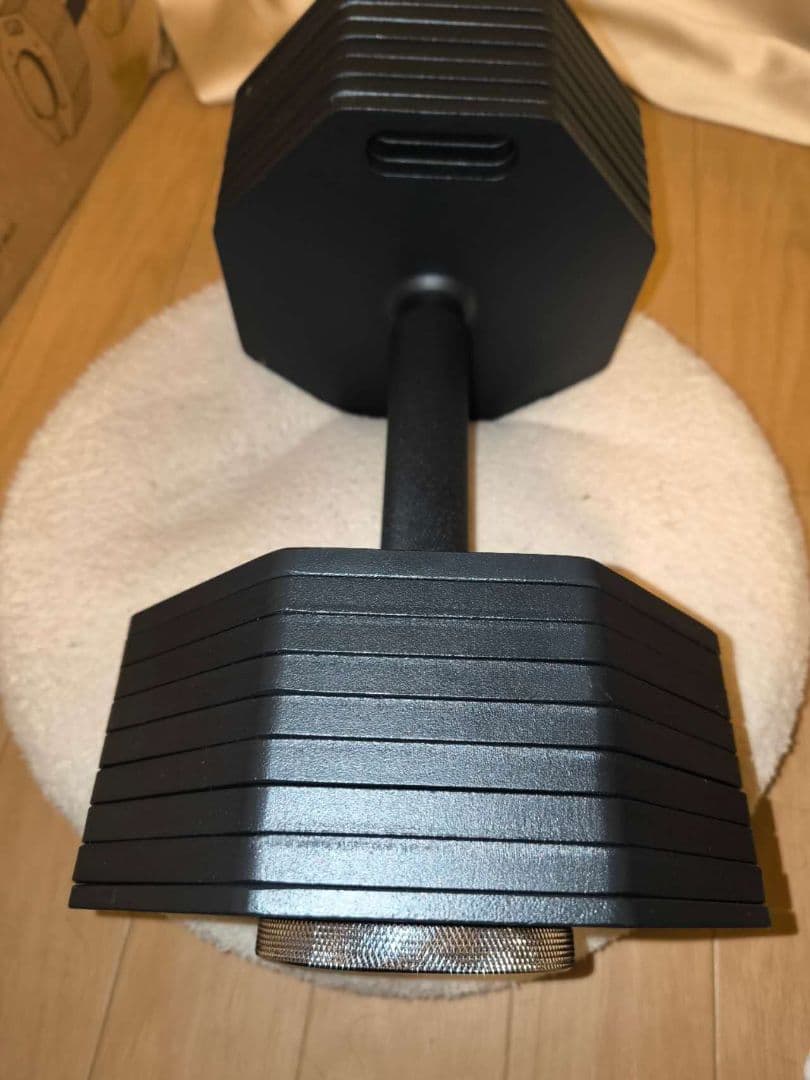 ブランドEisenlink　36kg×1(八角形ブラック)