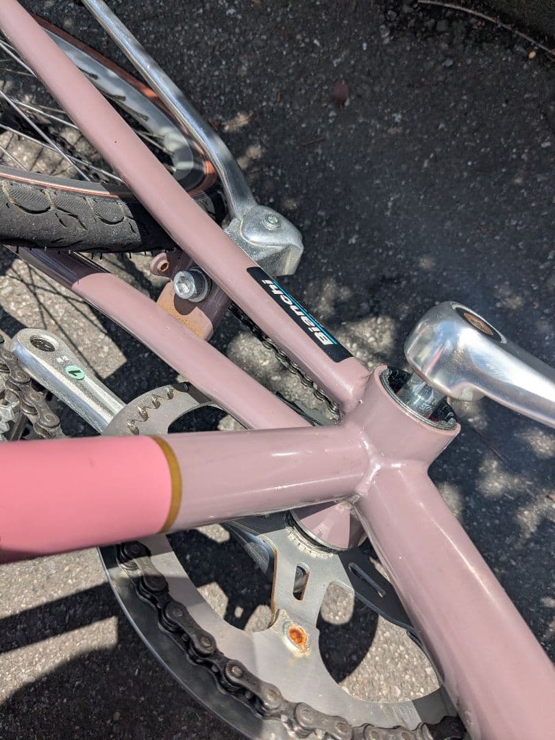 スケアリー様向け　Bianchi （ビアンキ）Merlo ミニベロ
