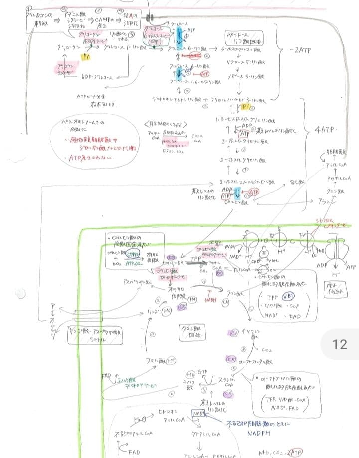 生物　閲覧用