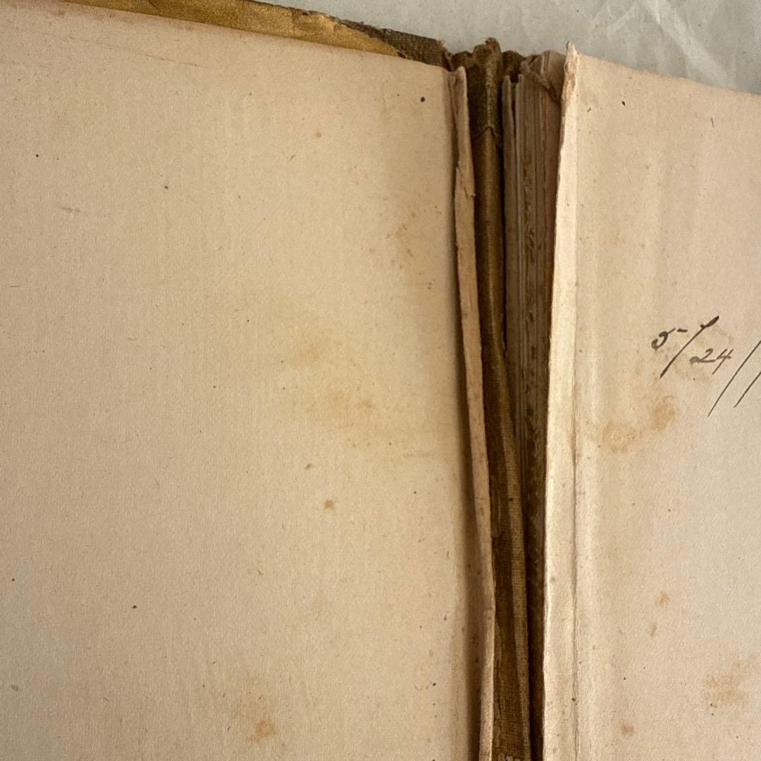 稀少1892年アンティーク愛らしい絵本ヴィクトリアン洋書ジャンクジャーナル古書
