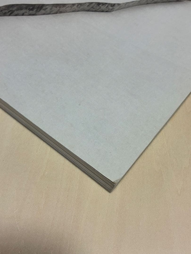 ミニマリズム Minimalism PHAIDON