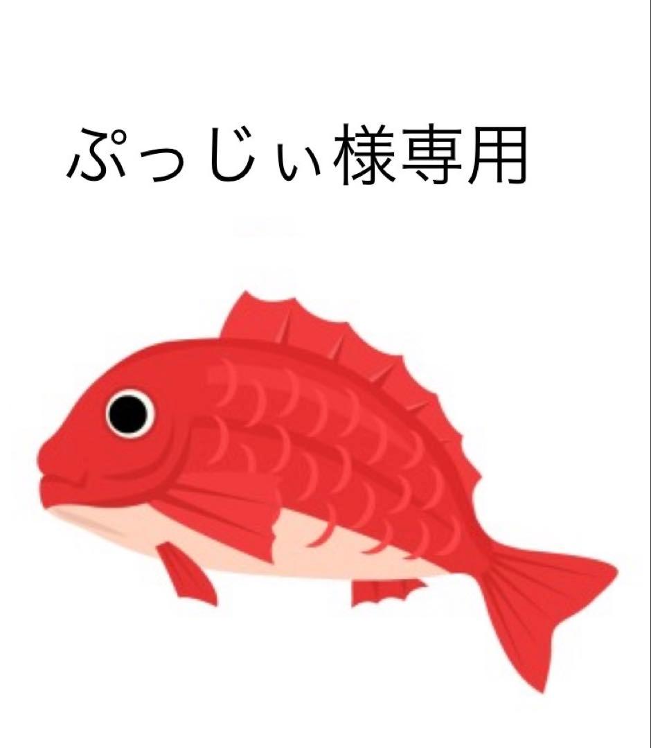 タイラバ　タングステン　ぷっじぃ