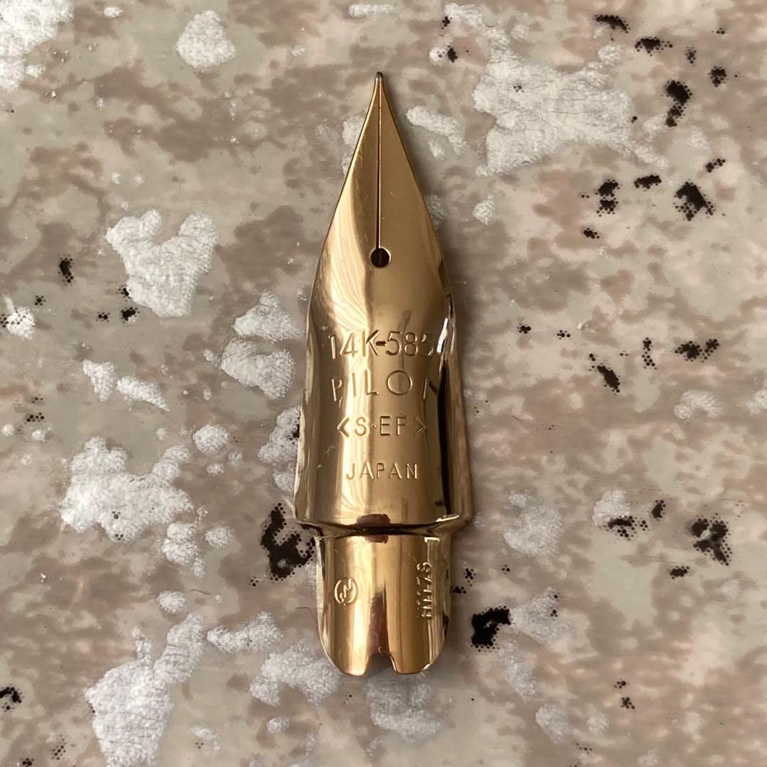 #284 オーバーホール済み 万年筆 パイロット PILOT Elabo 14k