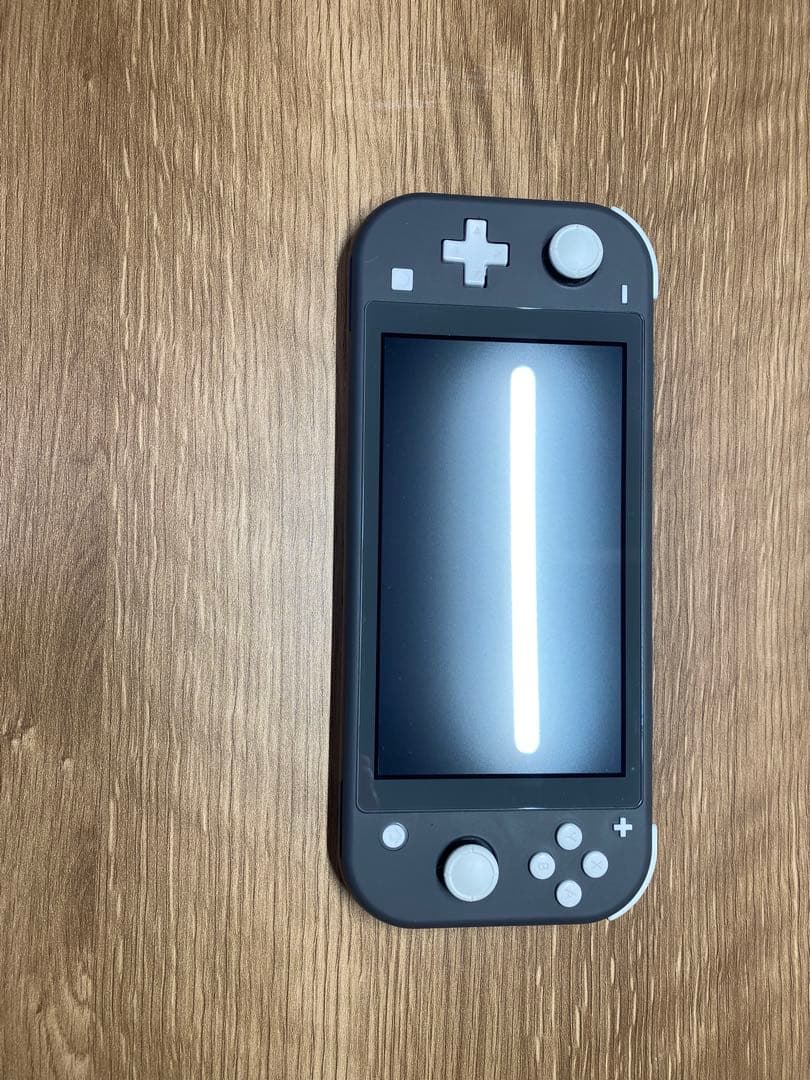 Nintendo Switch Lite グレー 本体 ACアダプター付き