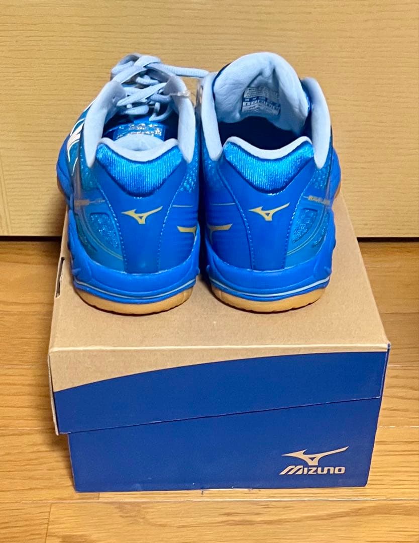 ★新品・未使用★ミズノ★バレーボールシューズ★26㎝★