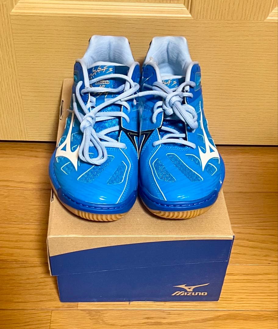 ★新品・未使用★ミズノ★バレーボールシューズ★26㎝★